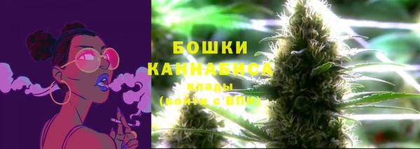 apvp Лиски