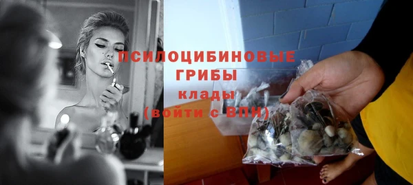 Альфа ПВП Липки