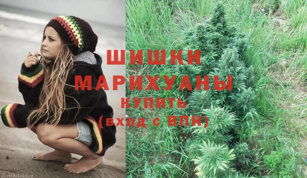 apvp Лиски