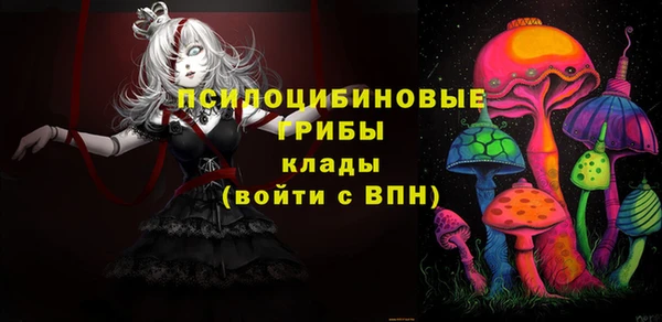 apvp Лиски