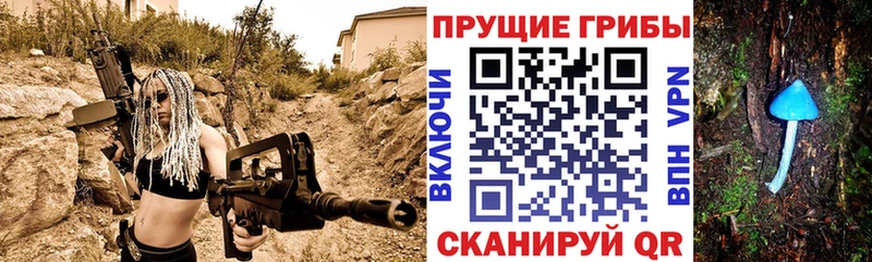 Псилоцибиновые грибы мухоморы  Купить где  Новая Ладога 