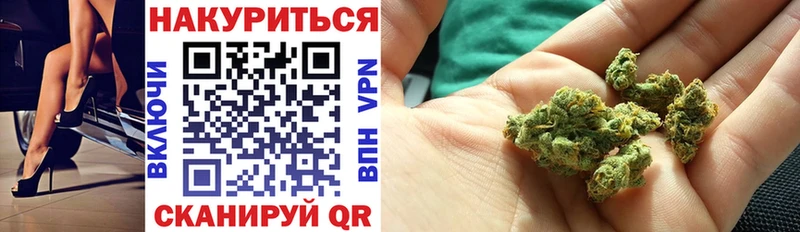 Марихуана сатива  Купить  Новая Ладога 